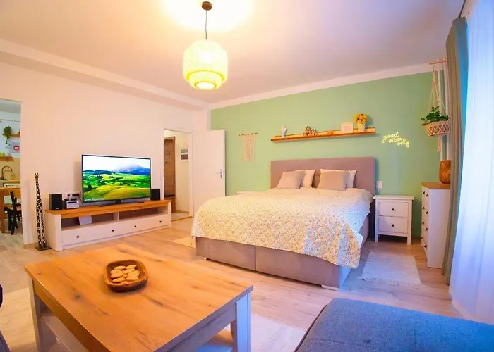 Cozy Little In Old Tw דירה ברטיסלאבה